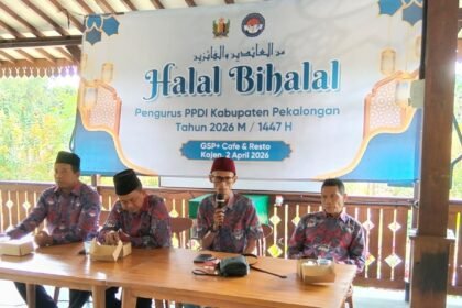 WhatsApp Image 2026 04 02 at 11.32.11