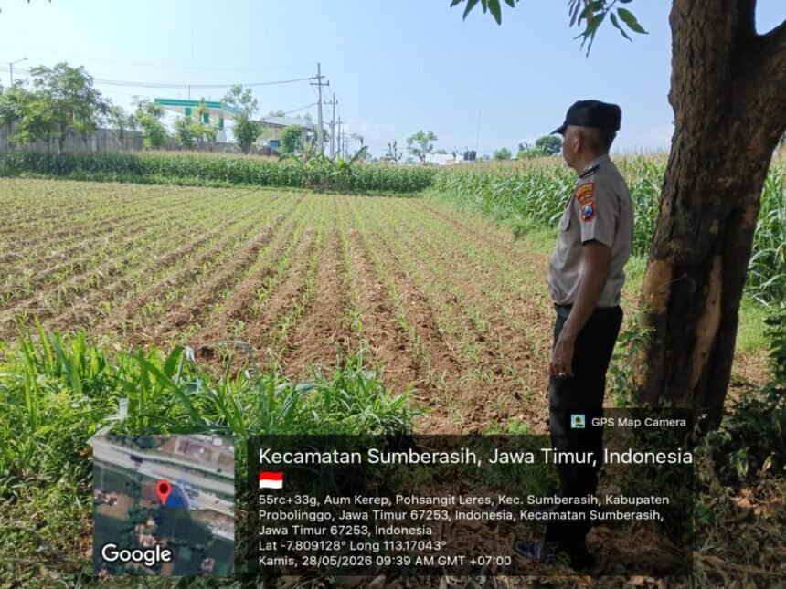 IMG 20260529 WA0145