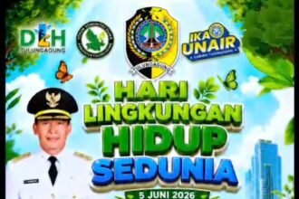 IMG 20260605 113901