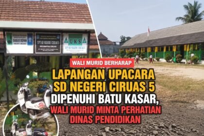 IMG 20260728 WA0118
