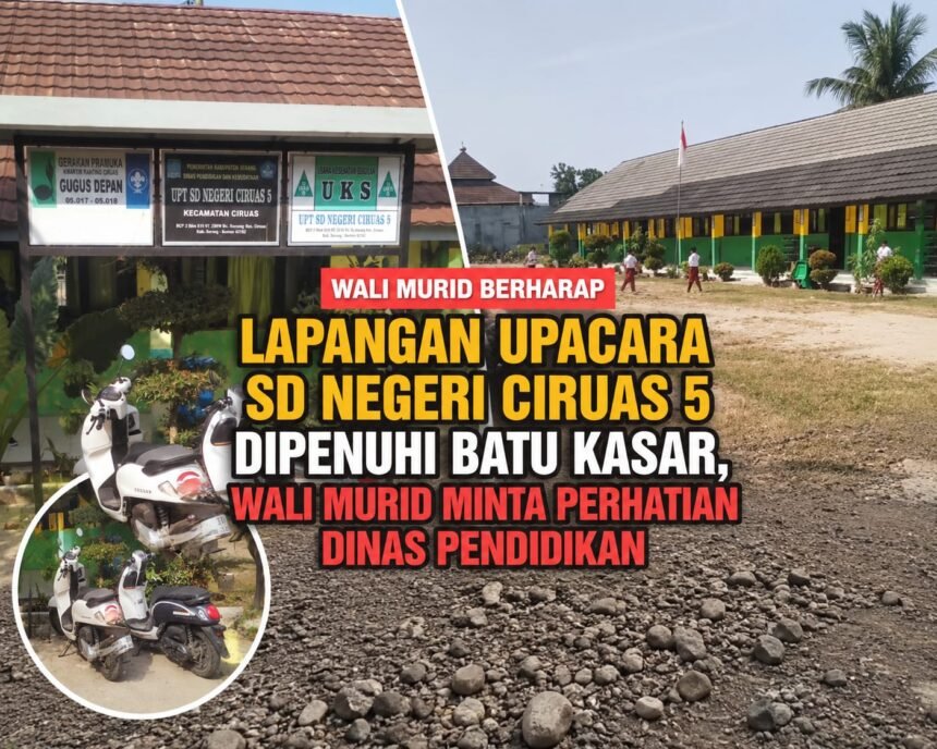 IMG 20260728 WA0118