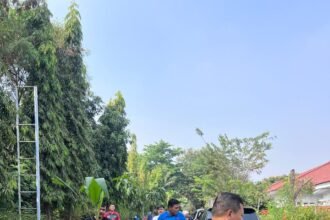 IMG 20260813 WA0326