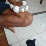 IMG 20260822 WA0091
