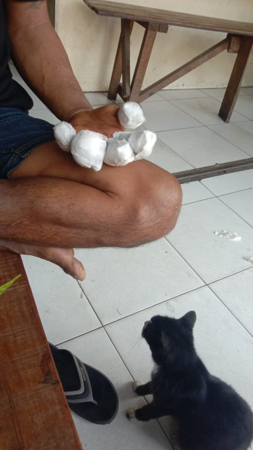 IMG 20260822 WA0091