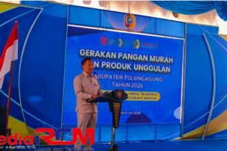 IMG 20260806 194149