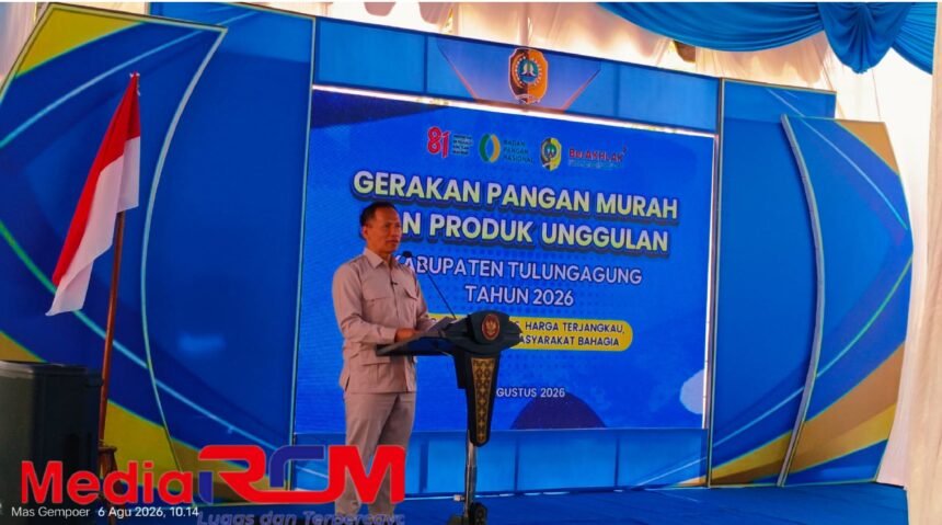 IMG 20260806 194149
