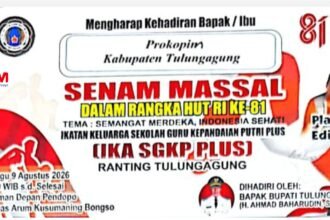 IMG 20260809 104524