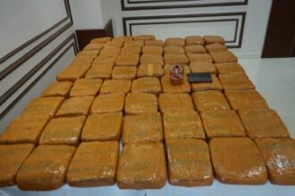 IMG 20260919 WA0313