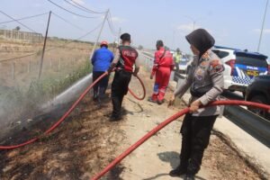 Polres Tegal Lakukan Mitigasi Karhutla di Sekitar Jalur Tol KM 294 Suradadi 3 IMG 20261024 WA0005