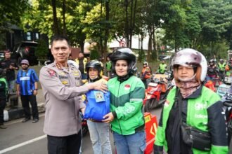 news l 188144d9 736d 40e4 81de 375b4dcb3e05
